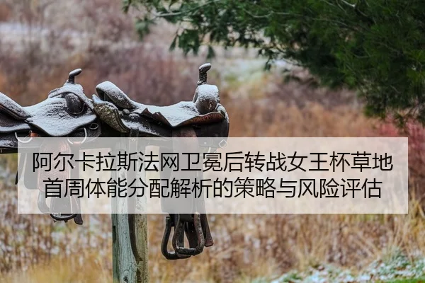 a-er-ka-la-si-fa-wang-wei-mian-hou-zhuan-zhan-nv-wang-bei-cao-di-shou-zhou-ti-neng-fen-pei-jie-xi-de-ce-lve-yu-feng-2-550.jpg