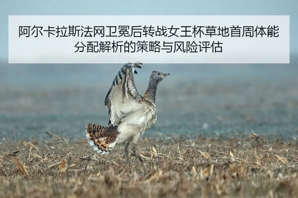 阿尔卡拉斯法网卫冕后转战女王杯草地首周体能分配解析的策略与风险评估