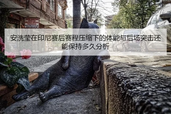 an-xi-ying-zai-yin-ni-sai-hou-sai-cheng-ya-suo-xia-de-ti-neng-yu-hou-chang-tu-ji-hai-neng-bao-chi-duo-jiu-fen-xi-2-921.jpg