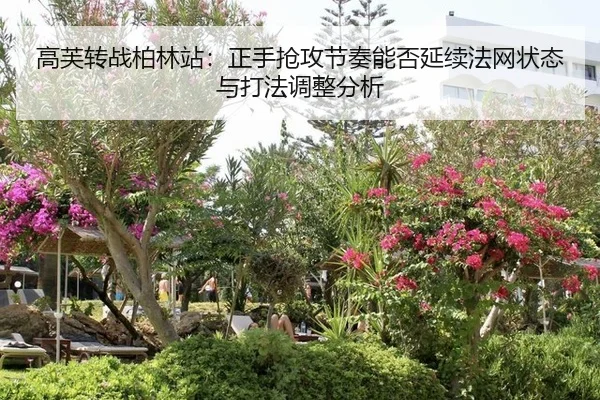 gao-fu-zhuan-zhan-bo-lin-zhan-zheng-shou-qiang-gong-jie-zou-neng-fou-yan-xu-fa-wang-zhuang-tai-yu-da-fa-tiao-zheng-fen-2-213.jpg