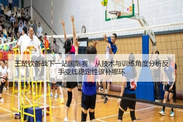 王楚钦备战下一站国际赛：从技术与训练角度分析反手变线稳定性该补哪环
