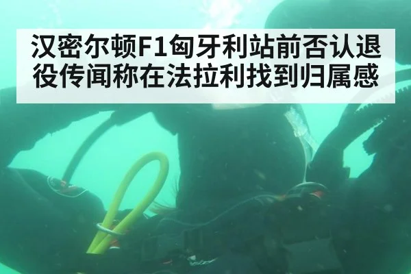 汉密尔顿F1匈牙利站前否认退役传闻称在法拉利找到归属感