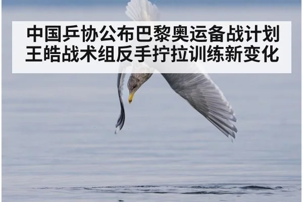 中国乒协公布巴黎奥运备战计划王皓战术组反手拧拉训练新变化