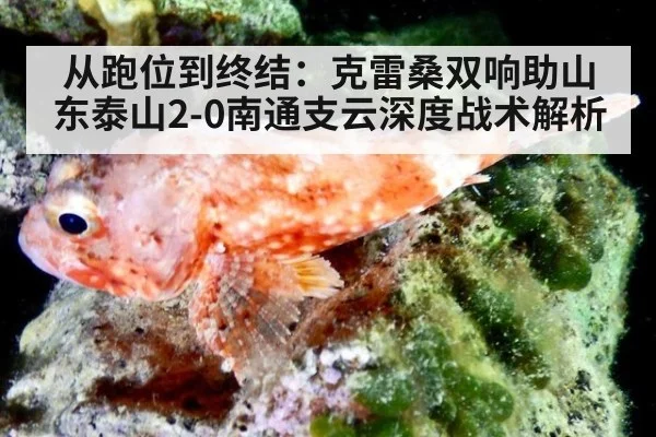 从跑位到终结:克雷桑双响助山东泰山2-0南通支云深度战术解析